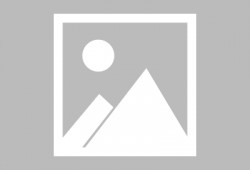 食物爆料视频大全集最新,食物爆料视频大全集深度解析